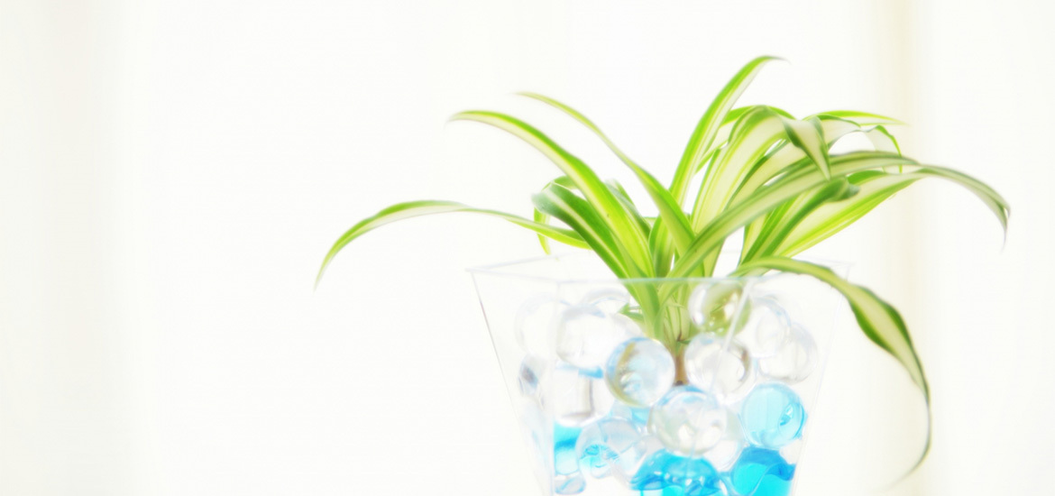 下都賀郡野木町友沼 整形外科 リウマチ科